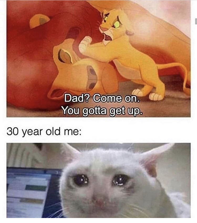 simba mufasa death meme - Dad? Come on. You gotta get up. 30 year old me
