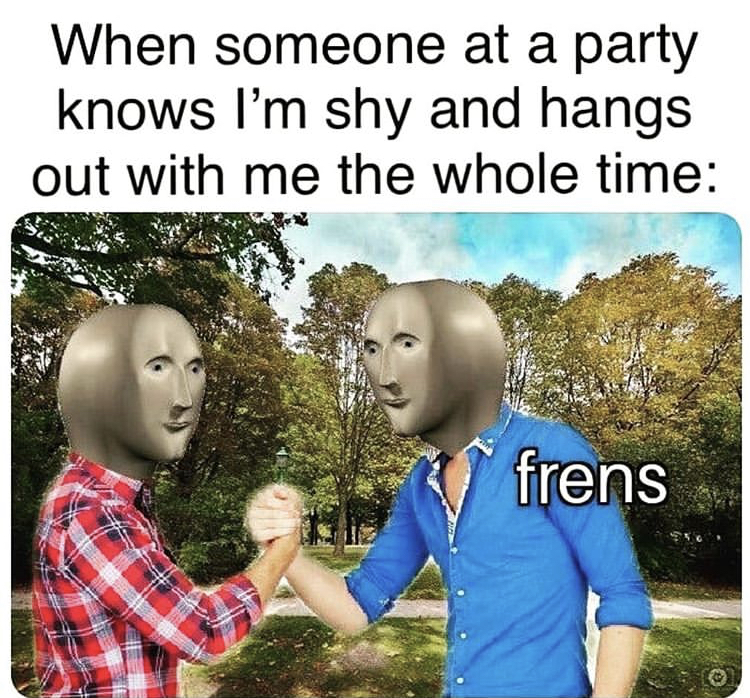 Internet meme - When someone at a party knows I'm shy and hangs out with me the whole time frens