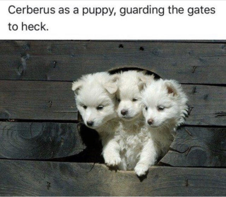 smol bois - Cerberus as a puppy, guarding the gates to heck.