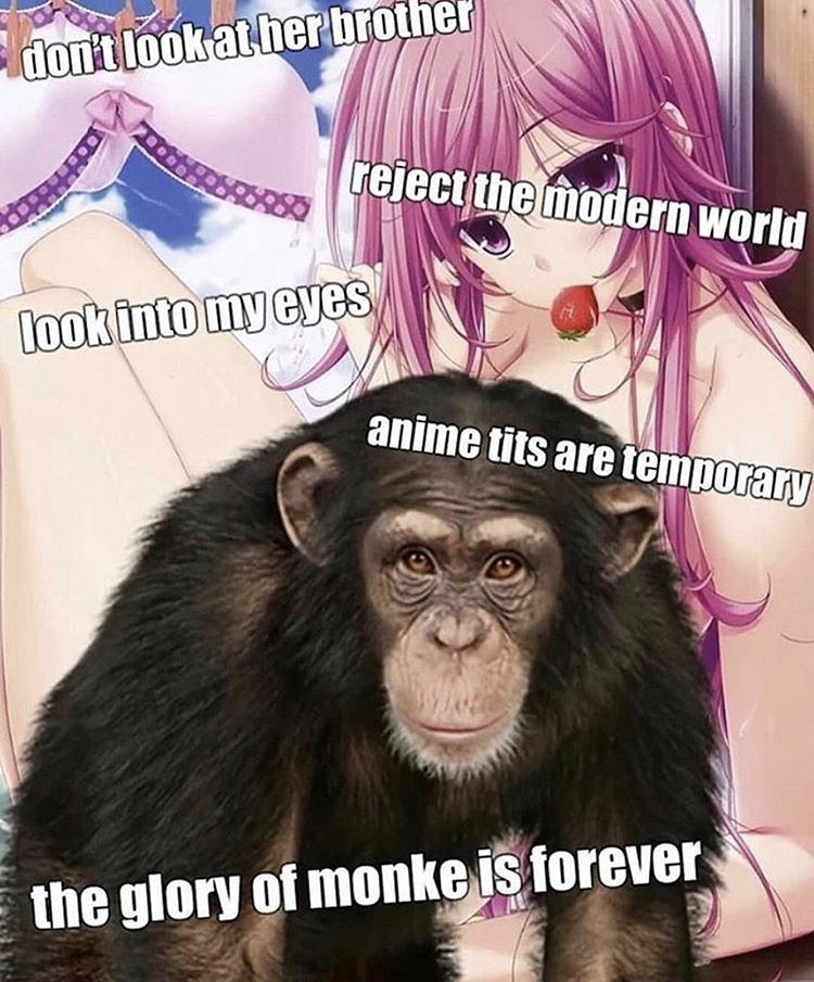 monkey - don't look at her brother reject the modern world look into my eyes anime tits are temporary the glory of monke is forever