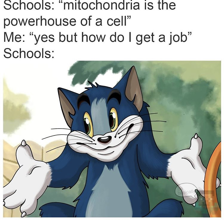tom shrugging meme template - Schools "mitochondria is the powerhouse of a cell Me yes but how do I get a job Schools basicall