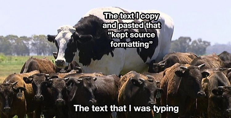 knickers the giant cow - The text I copy and pasted that "kept source formatting" The text that I was typing