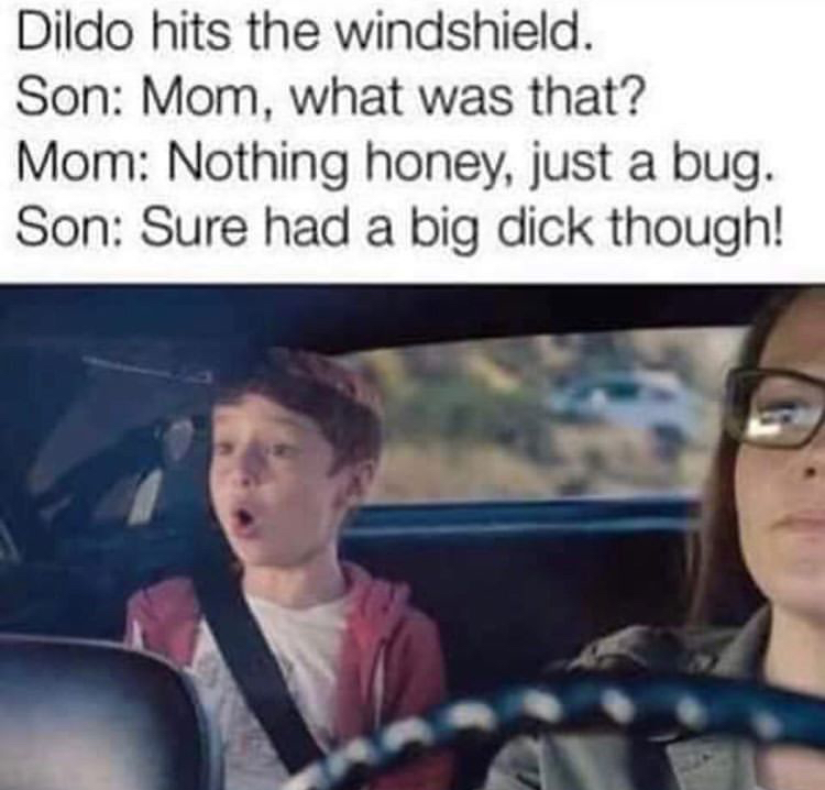 funny af memes - Dildo hits the windshield. Son Mom, what was that? Mom Nothing honey, just a bug. Son Sure had a big dick though!