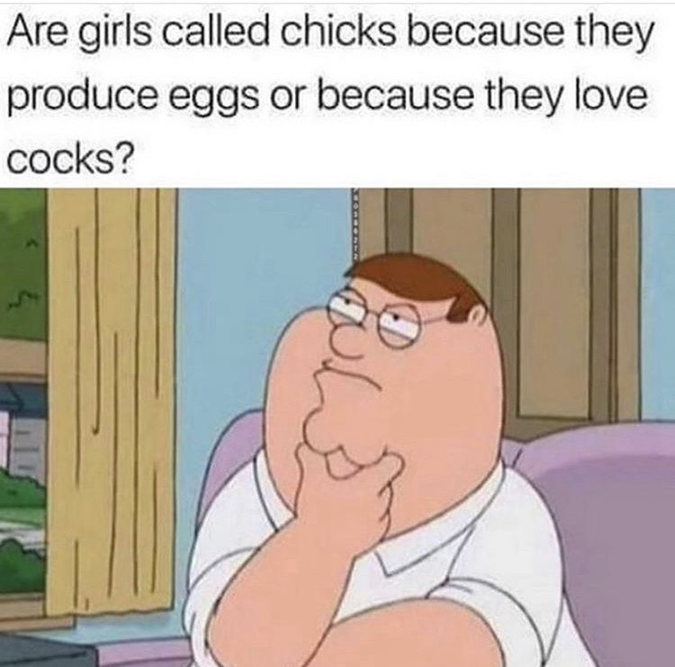 funniest hilarious memes - Are girls called chicks because they produce eggs or because they love cocks? al