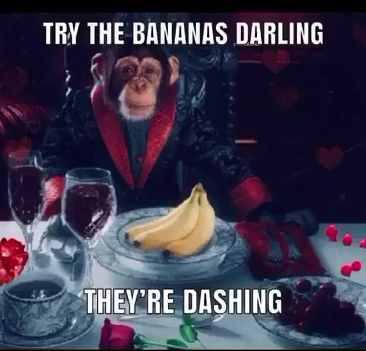 try the bananas darling they re dashing - Try The Bananas Darling They'Re Dashing