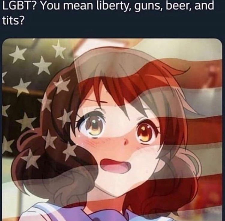 lgbt america meme - Lgbt? You mean liberty, guns, beer, and tits?