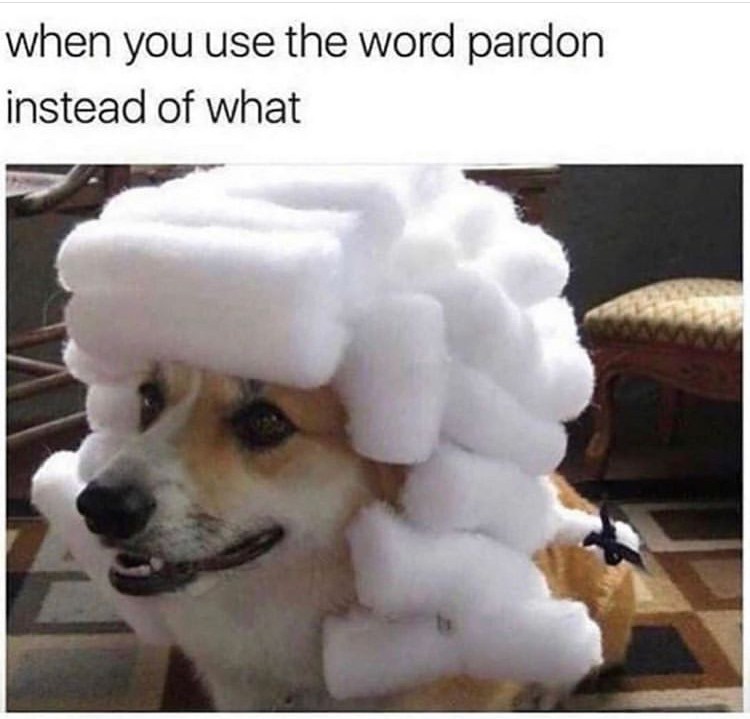 you use the word pardon - when you use the word pardon instead of what