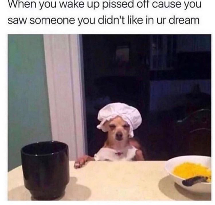 chihuahua memes - When you wake up pissed off cause you saw someone you didn't in ur dream