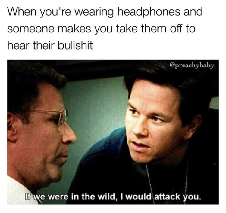 photo caption - When you're wearing headphones and someone makes you take them off to hear their bullshit If we were in the wild, I would attack you.