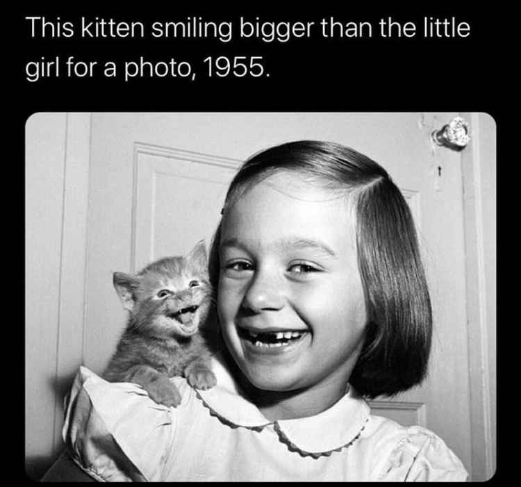 berthold laufer - This kitten smiling bigger than the little girl for a photo, 1955.