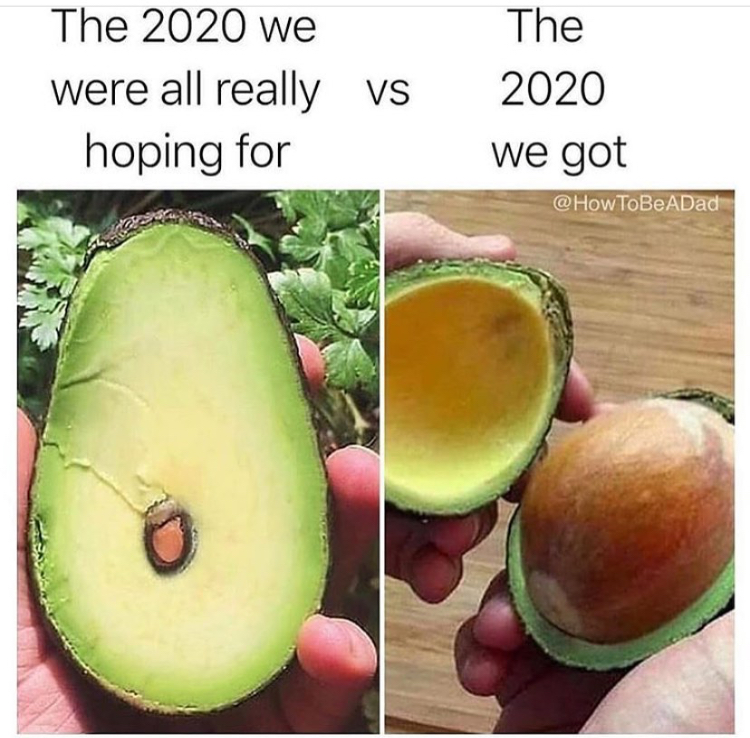 if lays made avocados - The 2020 we were all really Vs hoping for The 2020 we got