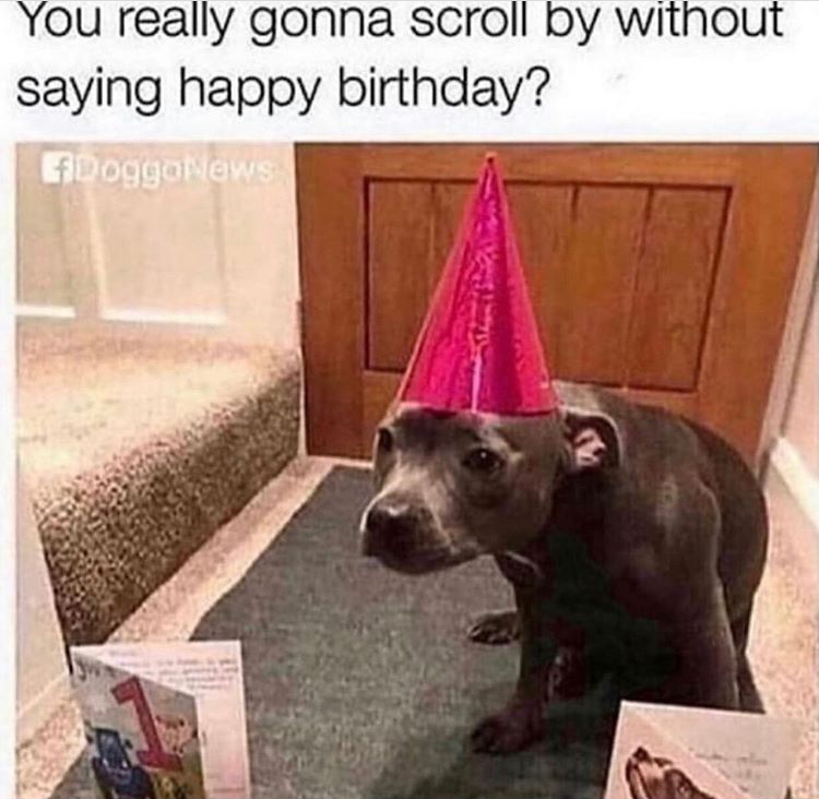 you really gonna scroll by without saying happy birthday - You really gonna scroll by without saying happy birthday? DogGONEWS