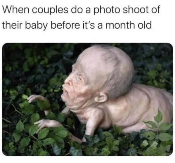 baby hybrid tick - When couples do a photo shoot of their baby before it's a month old