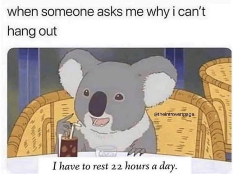 koala meme sleep - when someone asks me why i can't hang out I have to rest 22 hours a day.