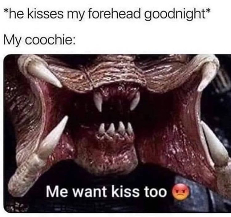 funny memes - predator villain - he kisses my forehead goodnight My coochie Me want kiss too