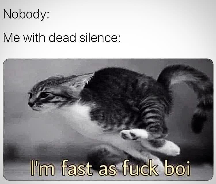 funny memes - fast as fuck boi meme - Nobody Me with dead silence I'm fast as fuck boi