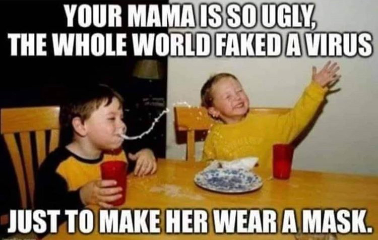 funny memes - your momma so fat meme - Your Mama Is So Ugly, The Whole World Faked A Virus Just To Make Her Wear A Mask.