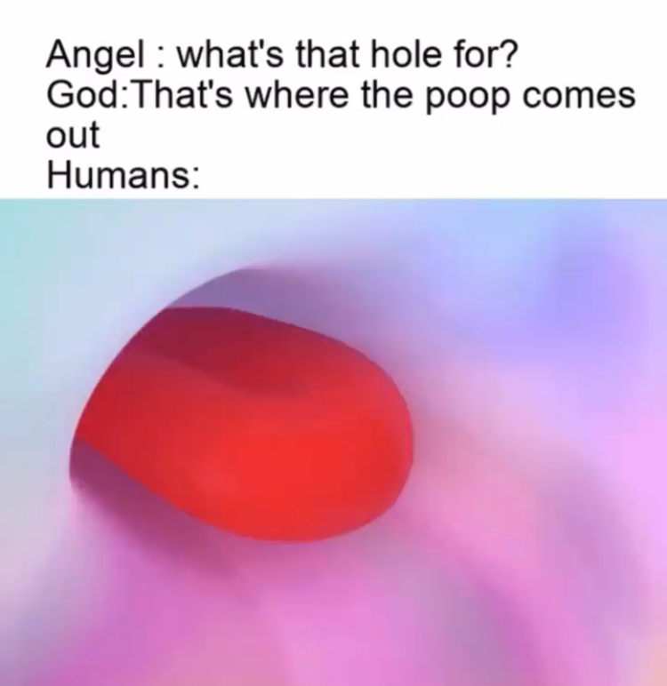 funny memes - love my son quotes - Angel what's that hole for? GodThat's where the poop comes out Humans