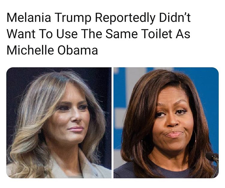 funny memes - head - Melania Trump Reportedly Didn't Want To Use The Same Toilet As Michelle Obama