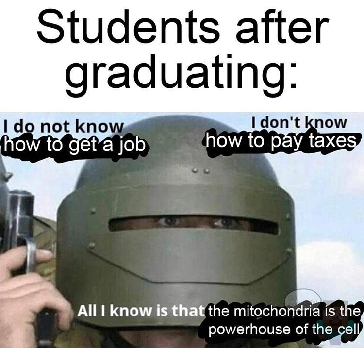 Students after graduating I do not know how to get a job I don't know how to pay taxes All I know is that the mitochondria is the powerhouse of the cell
