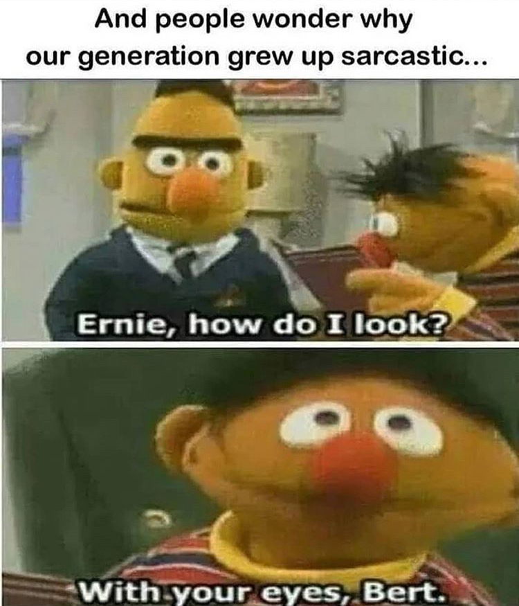 funny crazy meme - And people wonder why our generation grew up sarcastic... Ernie, how do I look? With your eyes, Bert.