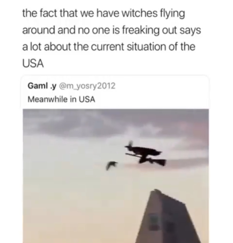 wing - the fact that we have witches flying around and no one is freaking out says a lot about the current situation of the Usa Gaml .y Meanwhile in Usa
