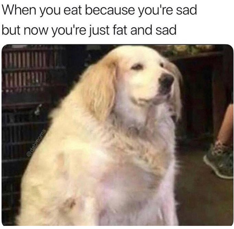 you eat because you re sad - When you eat because you're sad but now you're just fat and sad