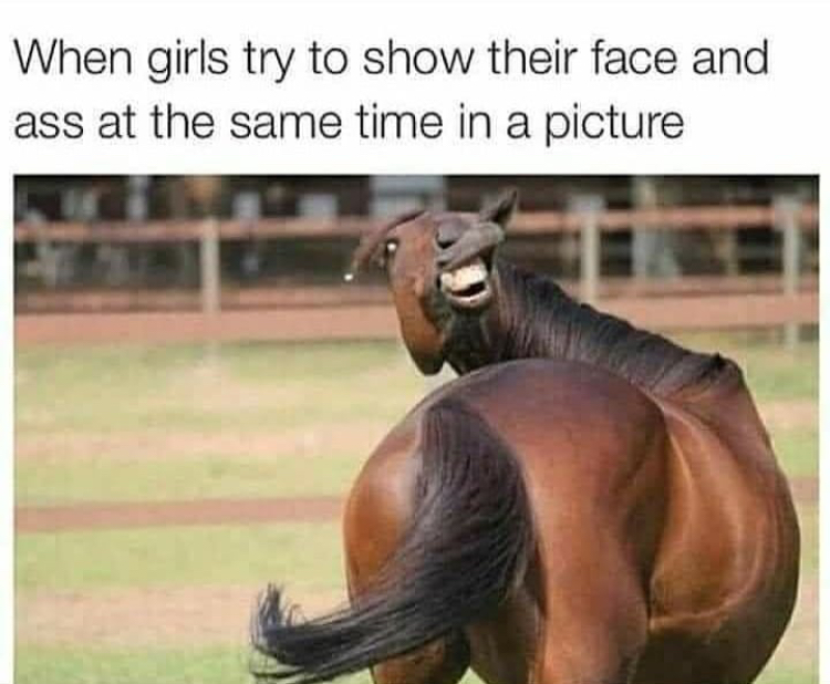 hilarious funny saturday memes - When girls try to show their face and ass at the same time in a picture