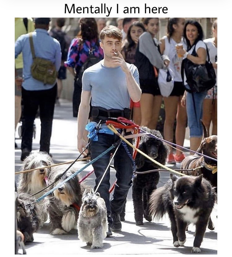 daniel radcliffe dogs - Mentally I am here