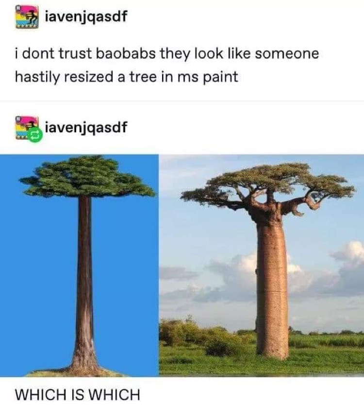 we live in a simulation meme - iavenjqasdf i dont trust baobabs they look someone hastily resized a tree in ms paint iavenjqasdf Which Is Which