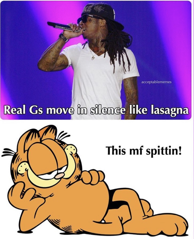 garfield png - acceptablemes Real Gs move in silence lasagna This mf spittin!