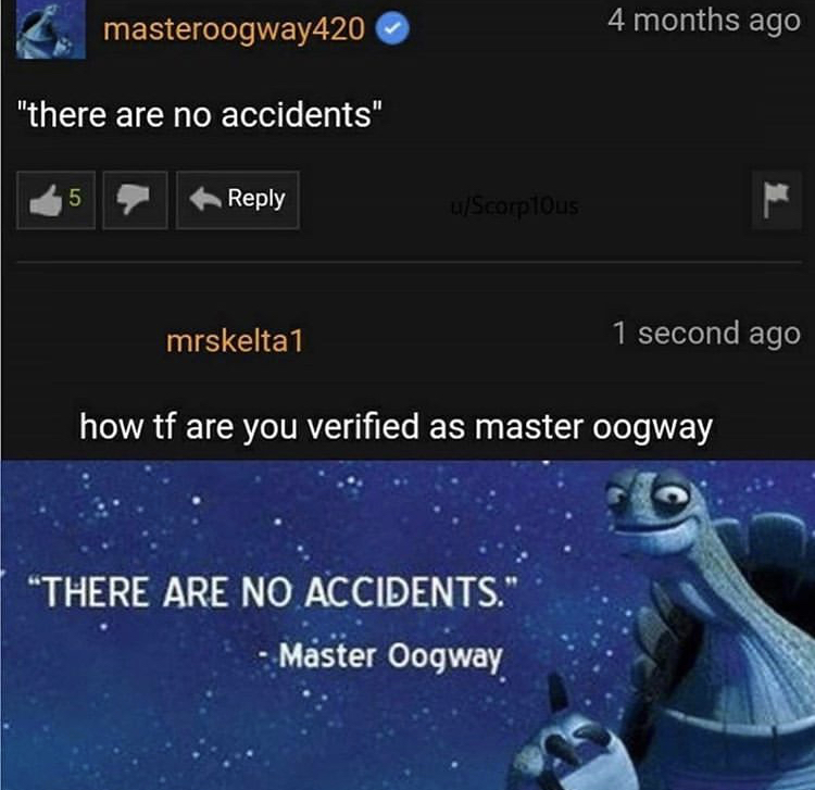 there are no accidents meme - masteroogway420 4 months ago "there are no accidents" 5 uScorpious mrskelta1 1 second ago how tf are you verified as master oogway "There Are No Accidents." Master Oogway