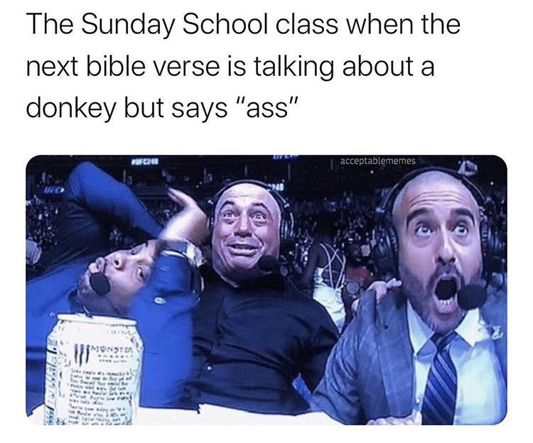 hamilton memes - The Sunday School class when the next bible verse is talking about a donkey but says "ass" Ufc acceptablememes Monoto