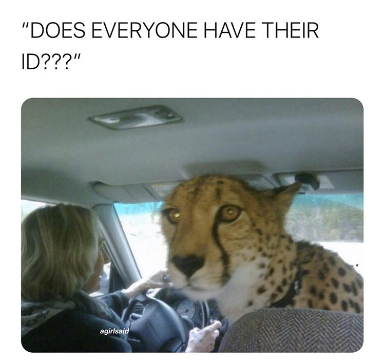 so how was school cheetah - "Does Everyone Have Their Id???" agirlsaid