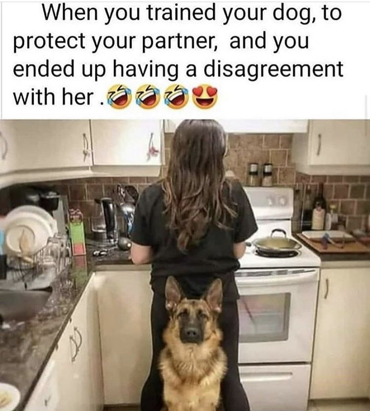 you teach your dog to protect - When you trained your dog, to protect your partner, and you ended up having a disagreement with her