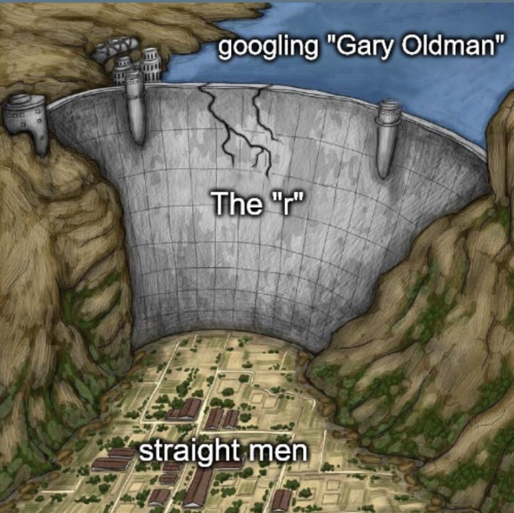 norway dam meme - googling "Gary Oldman" Te The "r" straight men