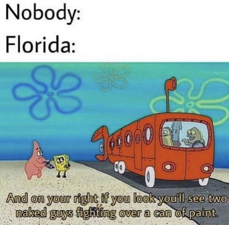 spongebob florida memes - Nobody Florida Jovo na Co And on your right if you look you'll see two naked guys fighting over a can of paint.