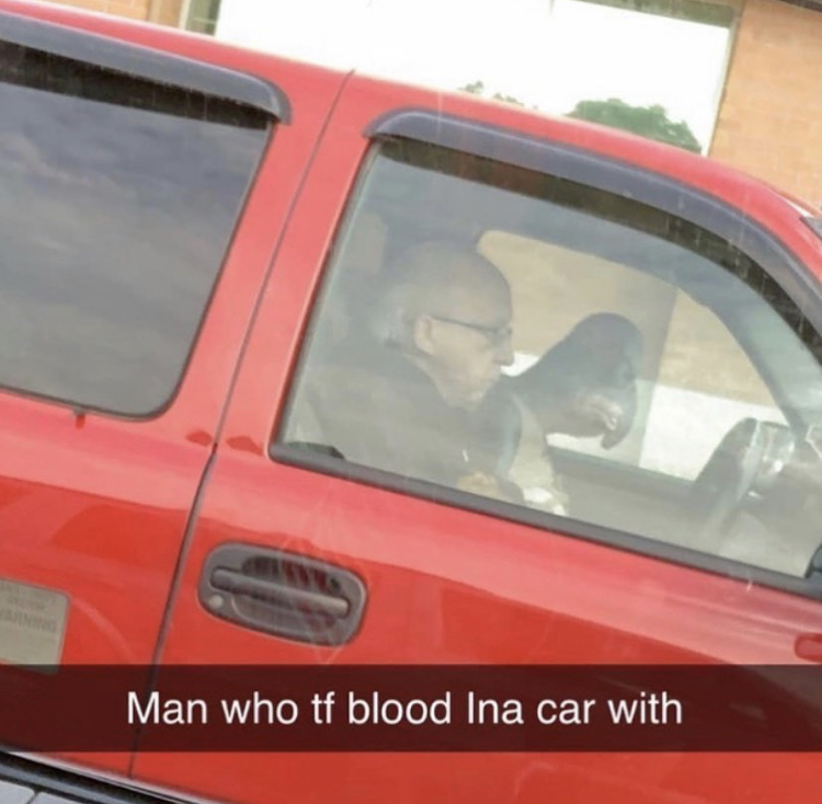 blood ina - Man who tf blood Ina car with