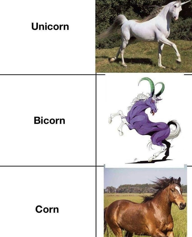 missing unicorn poster - Unicorn Bicorn Corn