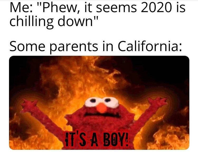 elmo meme fire - Me "Phew, it seems 2020 is chilling down" Some parents in California It'S A Boy