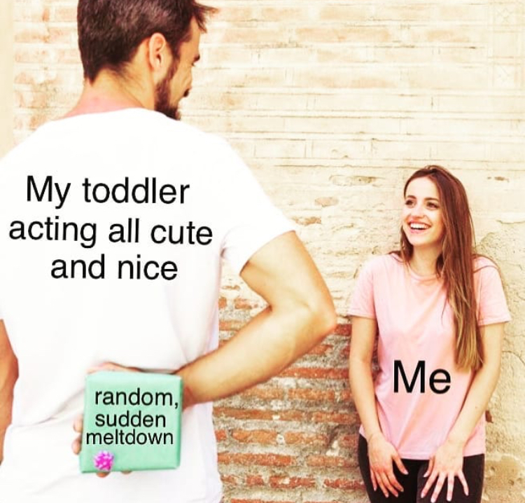 pyramid scheme meme friend - My toddler acting all cute and nice Me random, sudden meltdown