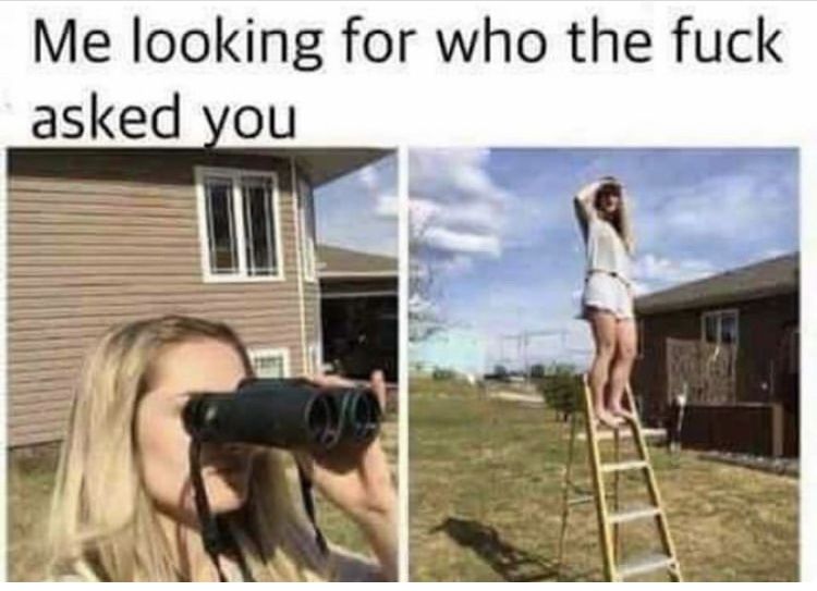 looking for who the fuck asked you meme - Me looking for who the fuck asked you