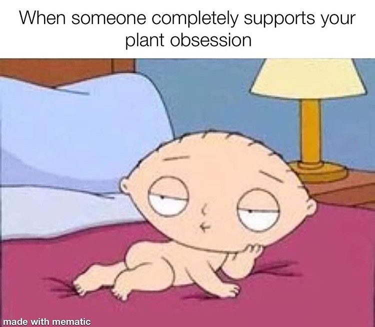 stewie griffin sex - When someone completely supports your plant obsession made with mematic
