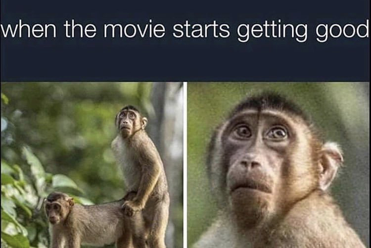 movie starts getting good monkey meme - when the movie starts getting good