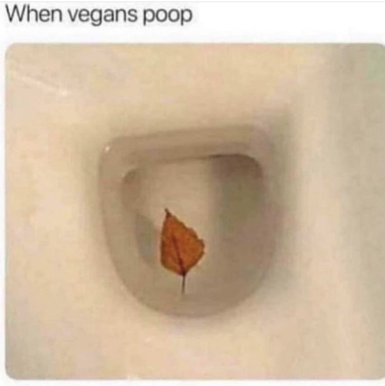 vegans poop - When vegans poop