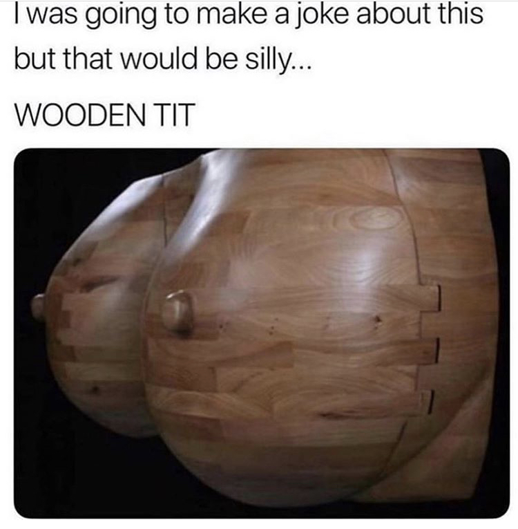 sex memes - I was going to make a joke about this but that would be silly... Wooden Tit