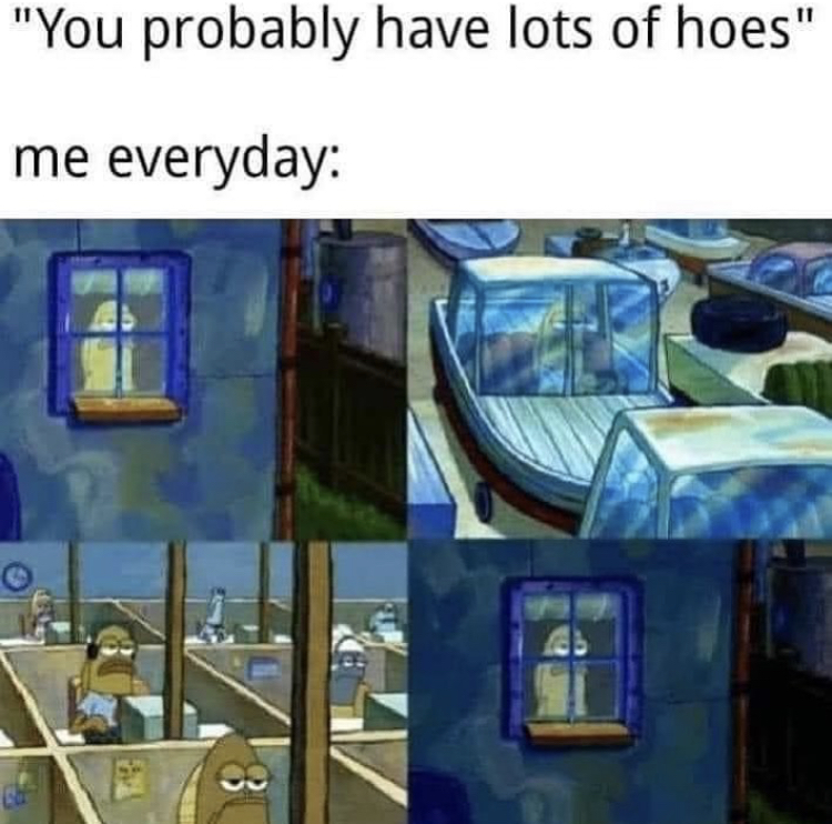 elden ring memes - "You probably have lots of hoes" me everyday