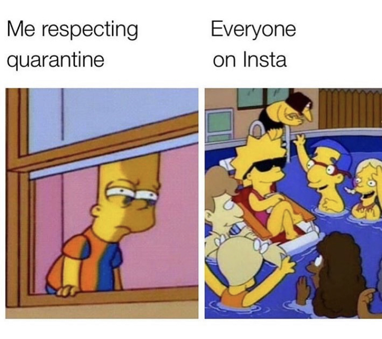 me respecting quarantine - Me respecting quarantine Everyone on Insta