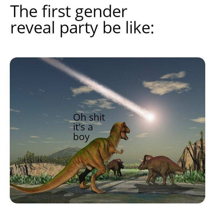dinosaur extinction - The first gender reveal party be Oh shit it's a boy