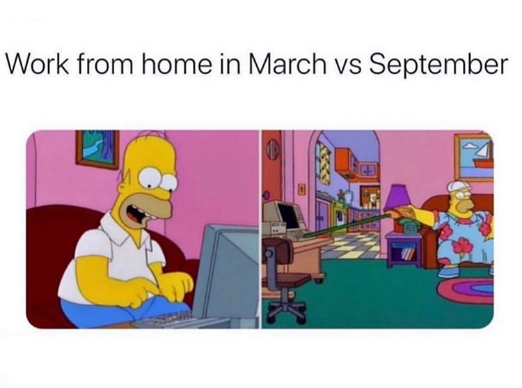 cartoon - Work from home in March vs September